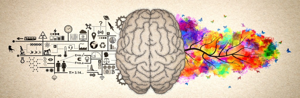 human brain on the left side work related atributs and on the right side colorful horizontal tree branches 