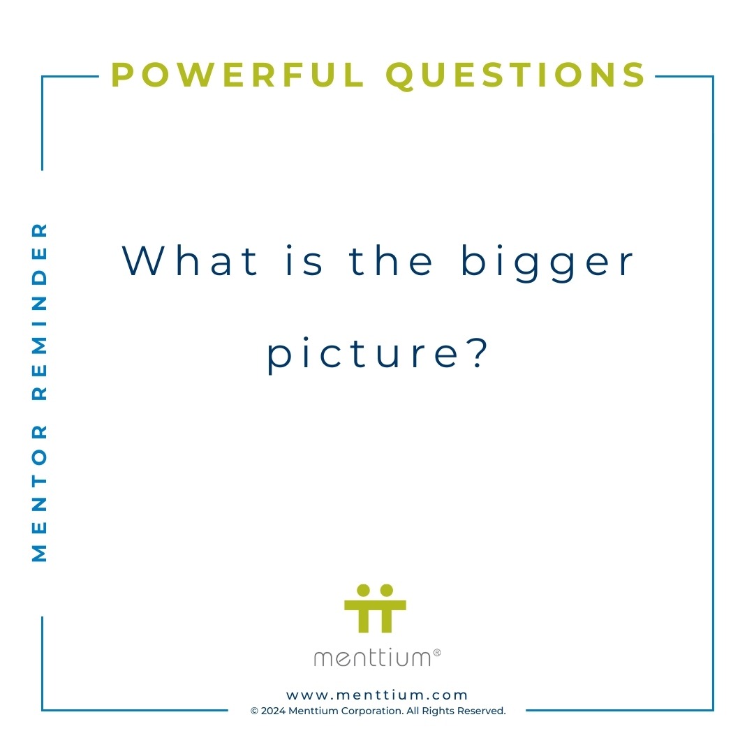 Mentor Tip Powerful Question 104 - What is the bigger picture?
